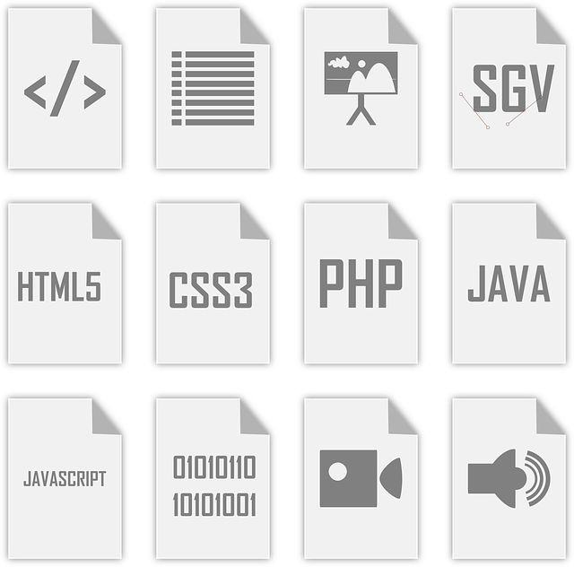 5te 5 Diyeti Nasıl Yapılır?