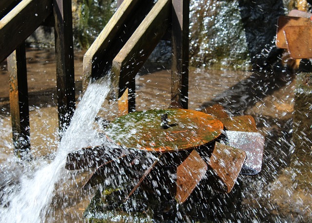 Ahmet Taşçı Kime Yenildi?