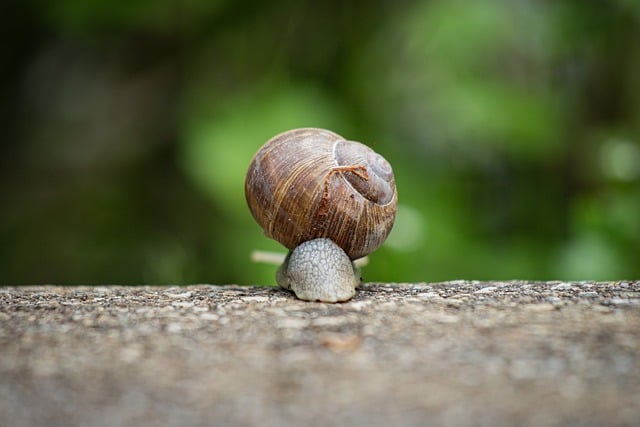 Ayrımcılık Türleri Nelerdir?