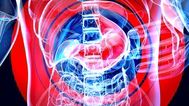 Bağırsak İltihabı Tedavisi Nedir? Bağırsak İltihabı Tedavisi Nedir?