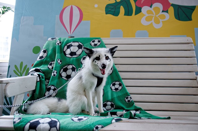 Bir Toplantı Nasıl Yapılır?