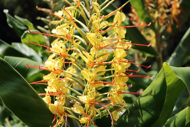 Buna Mukabil Ne Demek? Buna Mukabil Ne Demek?