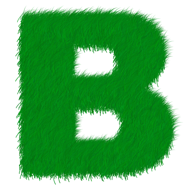 Deneme Nedir Kısa Ve Öz Bilgi?