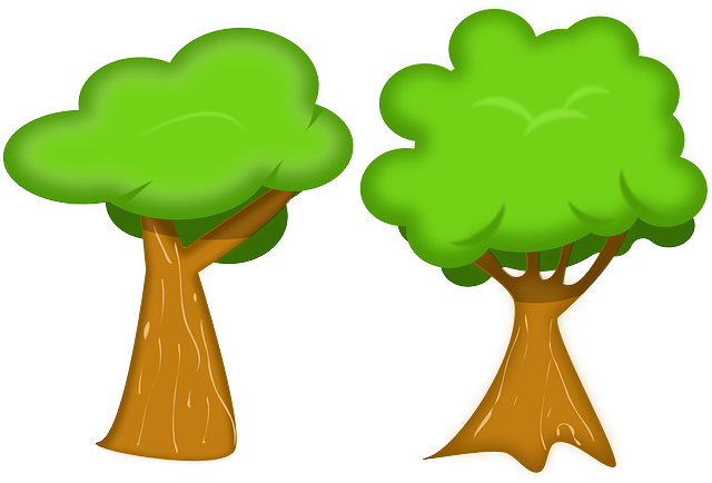 Doğal Çevre Nasıl Korunabilir?