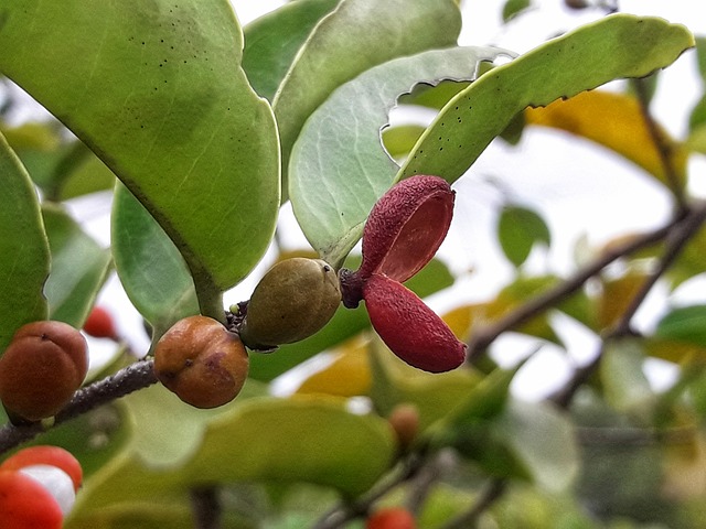 Eren Vurdem Hangi Dizide Oynadı? Eren Vurdem Hangi Dizide Oynadı?
