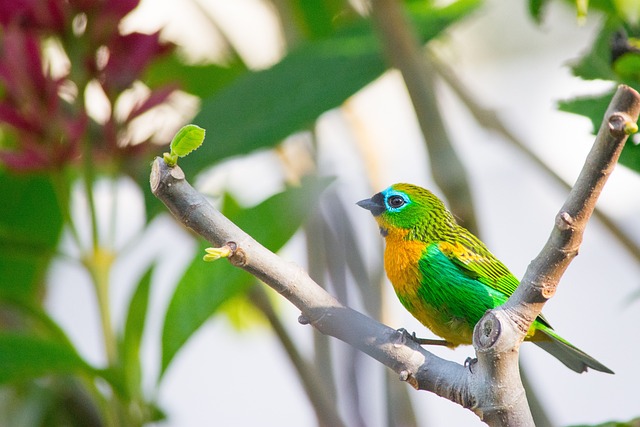 Euphoria 2 Sezon Çıktı Mı?