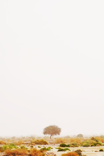 J5 Telefonlar Kaç Para?