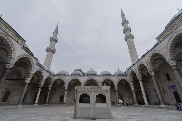 Mustafa Pehlivanoğlu Nerede Doğdu?