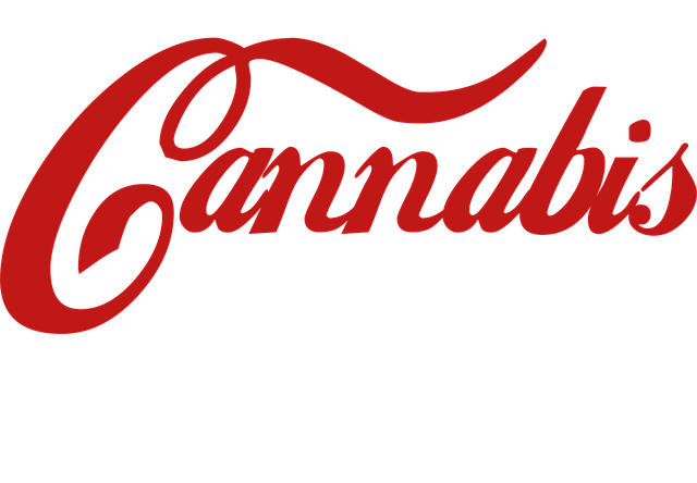 Musul Nedir Kelime Anlamı?