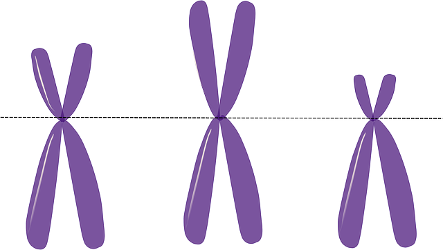 Peyzaj Mimarlığı Ne İşe Yarar?