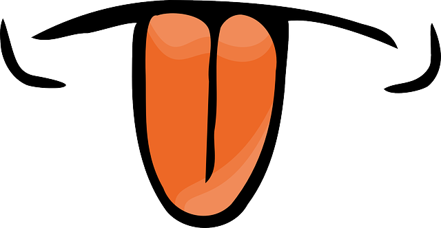 Yabancı Dil Mezunları Üniversitede Hangi Bölümleri Seçebilir?