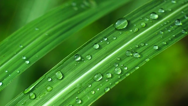 Yanardağ Ağzı Ne Ad Verilir?