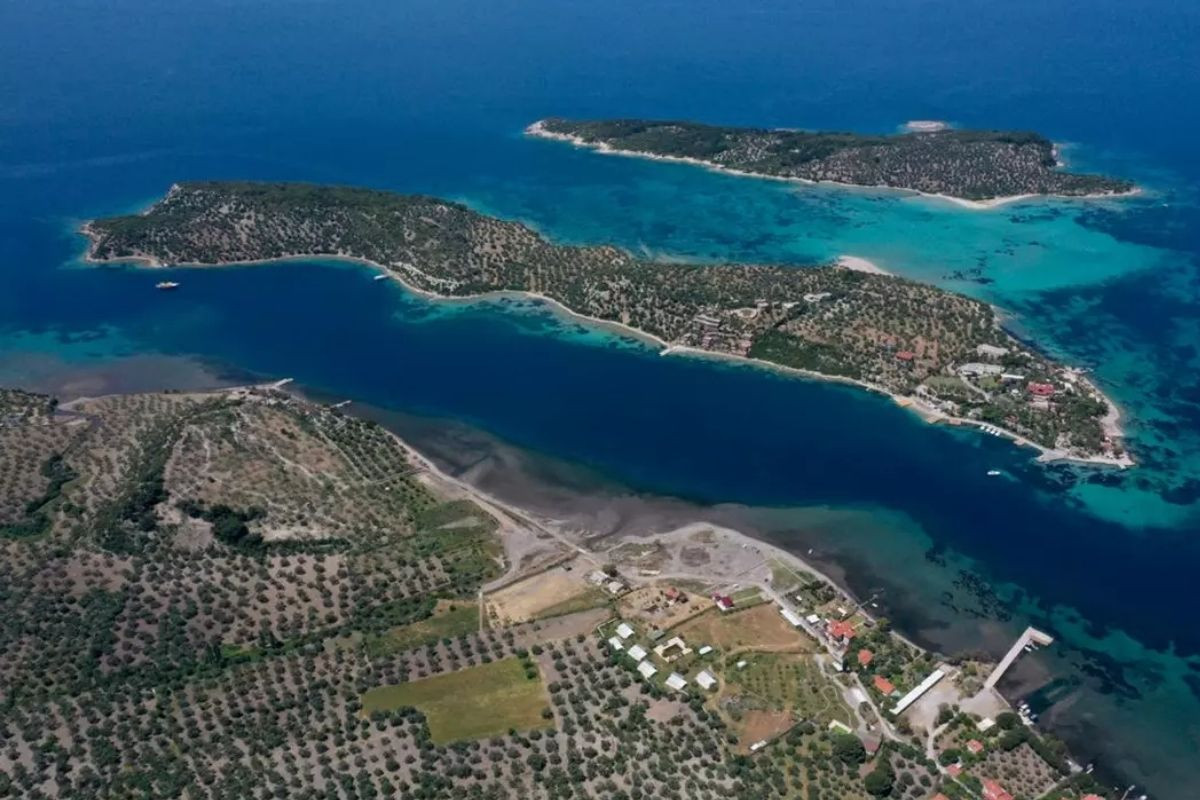 tmsf izmirin dikili ilcesindeki garip adasini icradan acik artirmayla satisa cikartti ada turkiyenin maldivleri Frj5EmDT