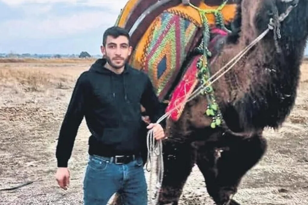 canakkalede deve guresi anlasmazligi kanli bitti 4l8mst5Z