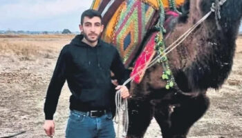 canakkalede deve guresi anlasmazligi kanli bitti 4l8mst5Z