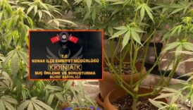 evine sera kurup kenevir yetistiren zanli tutuklandi KPnFB3EN