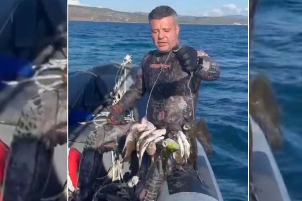 is insani sadettin saran rizki icin denize daldi kacan levregi buyuk oldu hUn56zDO