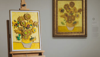 lego van goghun ayciceklerini lego setine donusturdu LSkPWD5q
