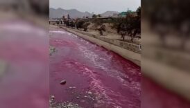 perunun rimac nehri aniden pembe renkte akmaya basladi yetkililer harekete gecti fWMaQA74