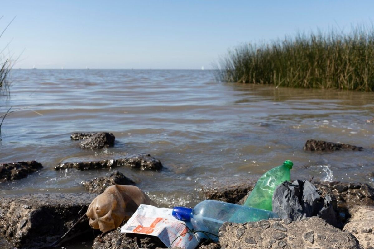 plastik uretimi 2060 yilinda 4 kat artacak petrol ureticisi ulkelerin tutumlari kuresel plastik anlasmasini BlpgLiIr