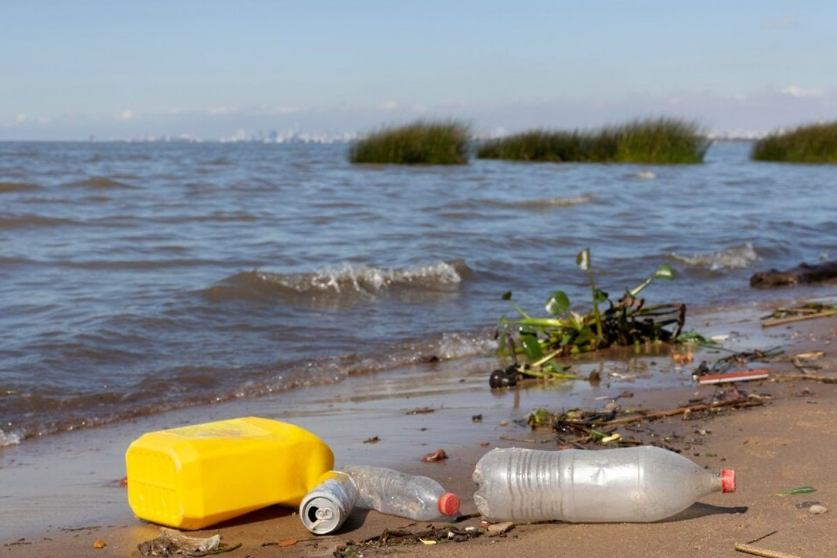 plastik uretimi 2060 yilinda 4 kat artacak petrol ureticisi ulkelerin tutumlari kuresel plastik anlasmasini kdsacUyz