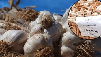 sarimsagin kilo fiyati 400 lirayi gordu a97ejQdq