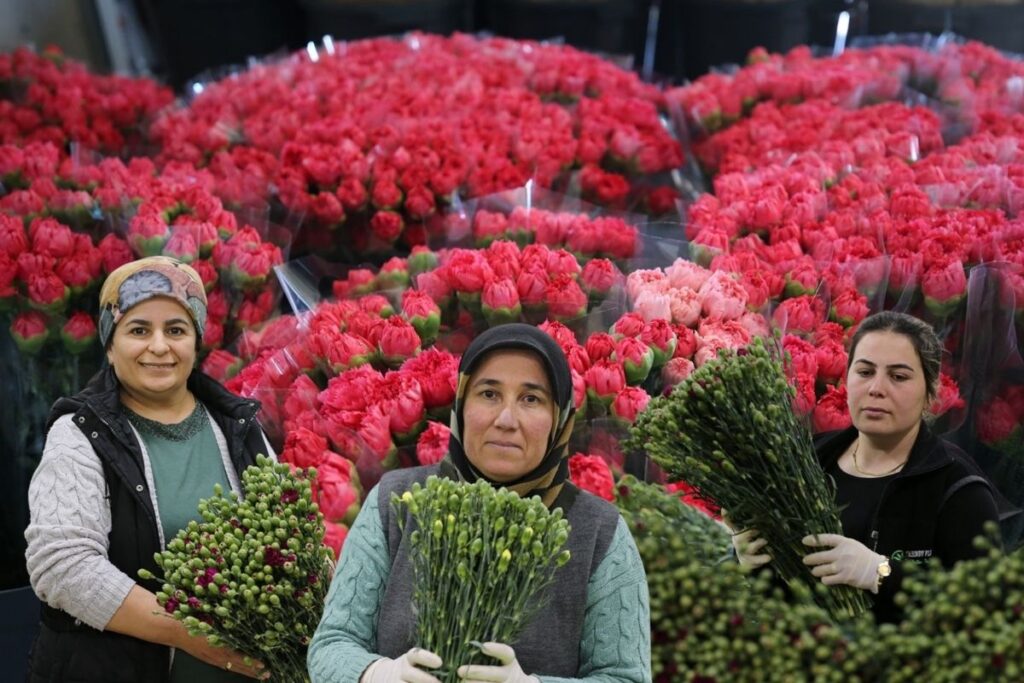 8 mart dunya kadinlar gunu nedeniyle turkiyeden 34 ulkeye 9 milyon dolarlik cicek ihracati rXSvTAlc