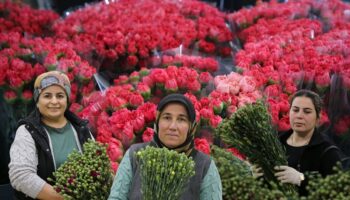 8 mart dunya kadinlar gunu nedeniyle turkiyeden 34 ulkeye 9 milyon dolarlik cicek ihracati rXSvTAlc