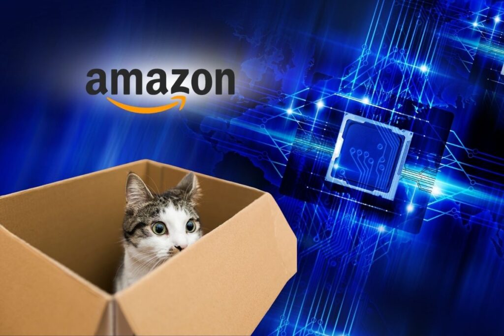 amazon kedi kubiti destekli cipi ile kuantum yarisina katiliyor QEzQ592E
