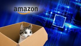 amazon kedi kubiti destekli cipi ile kuantum yarisina katiliyor QEzQ592E