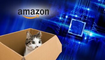 amazon kedi kubiti destekli cipi ile kuantum yarisina katiliyor QEzQ592E