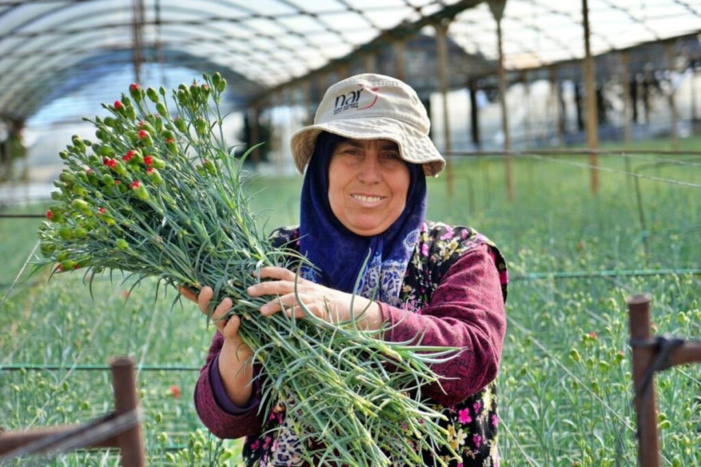 antalya 8 mart dunya kadinlar gunu icin 80 milyon dal cicek ihrac ederek 9 10 KNLAIT3O