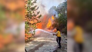 aydinda orman yangini basladi ekipler yogun sekilde mudahale ediyor 4RxJHyKX