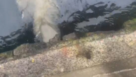 cevre sehircilik ve iklim degisikligi bakanligi iskiye uskudarda evsel atik su desarji nedeniyle 2 87HPn4dE