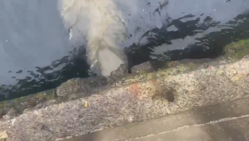 cevre sehircilik ve iklim degisikligi bakanligi iskiye uskudarda evsel atik su desarji nedeniyle 2 ghADSWAF