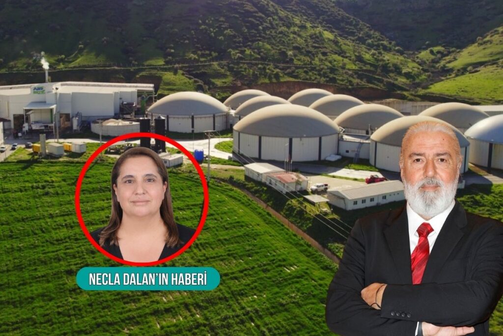 halka arza hazirlanan arf bio domates ve mikroalg uretimine yatirim yapacak j9wIwRme
