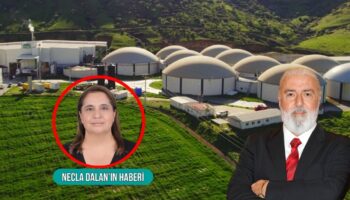 halka arza hazirlanan arf bio domates ve mikroalg uretimine yatirim yapacak j9wIwRme