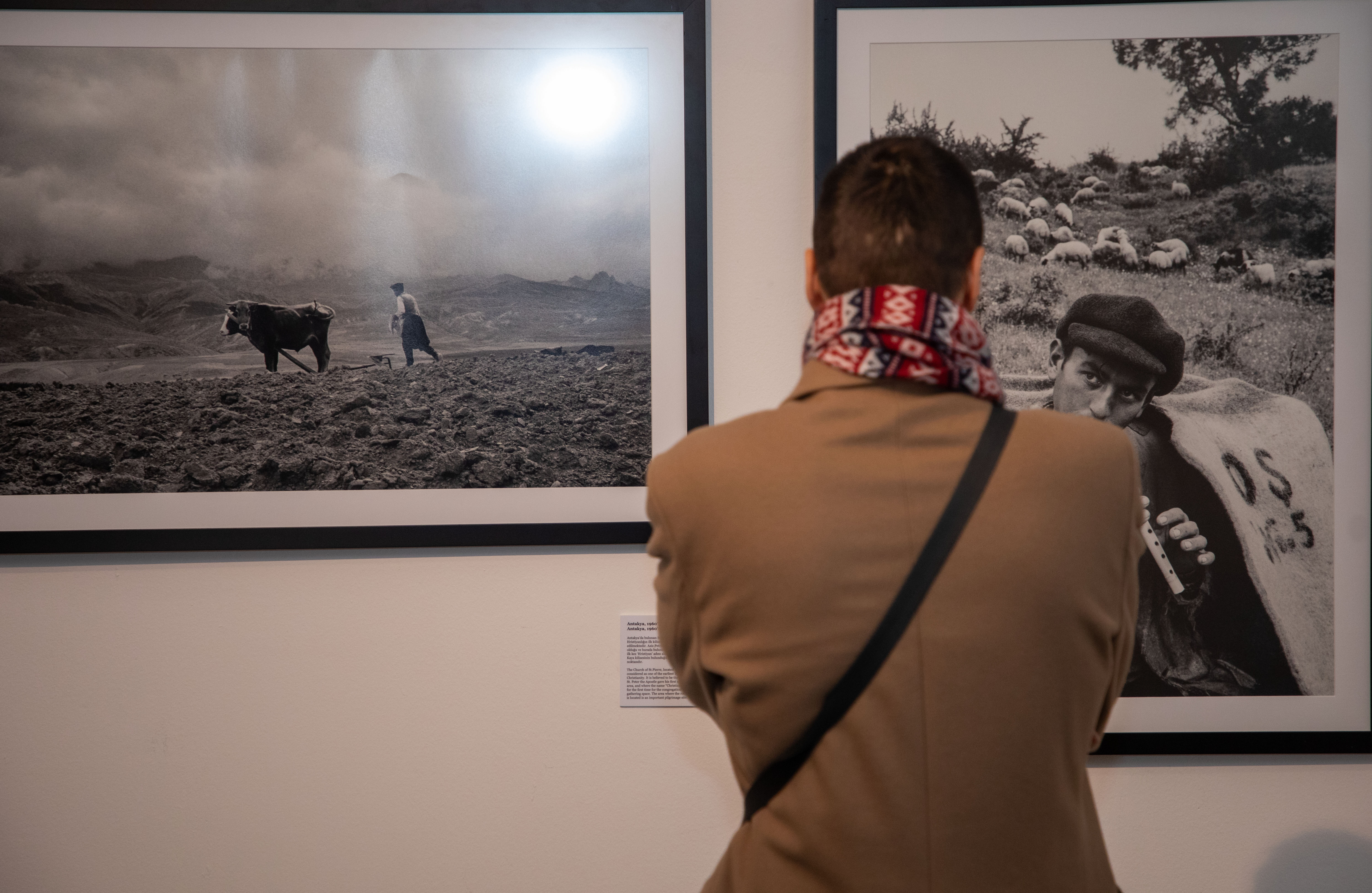 hirvatistanin baskenti zagrebde ara gulerin fotograflarindan olusan sergi acildi 2 7cmTteY5