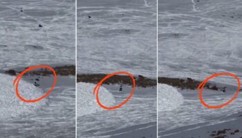 kayseride bir kayakci dusen cigin altinda kalmaktan son anda kurtuldu sYdOnHci
