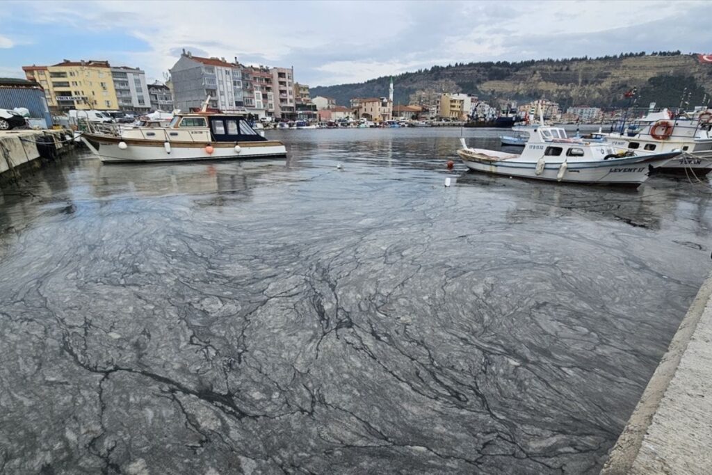 marmara denizindeki musilajin azaltilmasi icin ileri biyolojik aritma tavsiyesi fOB76T1E