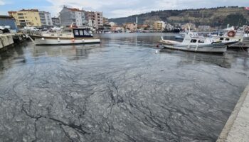 marmara denizindeki musilajin azaltilmasi icin ileri biyolojik aritma tavsiyesi fOB76T1E