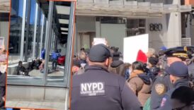 new yorkta tesla bayisine giren gostericiler gozaltina alindi iiDeppPY