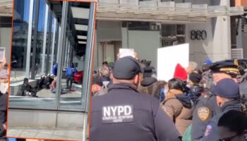 new yorkta tesla bayisine giren gostericiler gozaltina alindi iiDeppPY