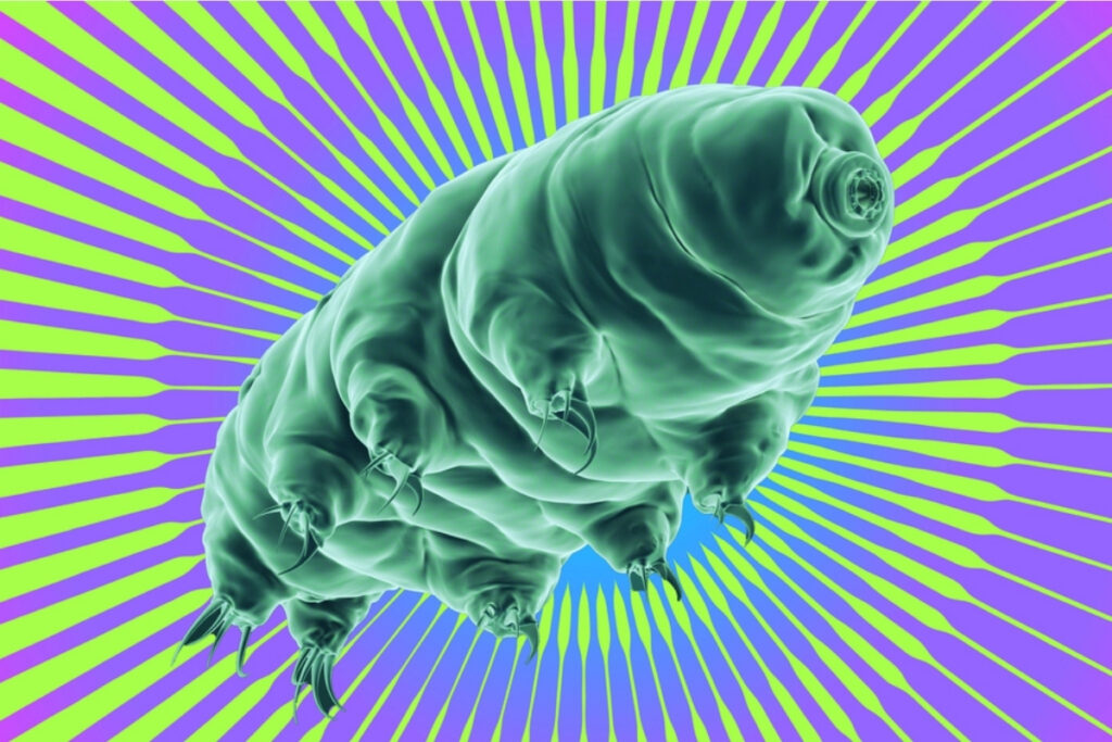 tardigradlardan elde edilen bir protein kanser hastalarinin radyasyon tedavisine yardimci olacak DvYs4q3J