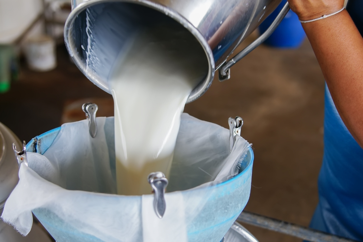 tarim ve orman bakanligindan sut uretimi verimlilik ve hayvancilikta olcek buyutme icin yeni destek N3erCup9