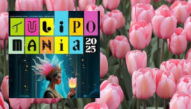 2nci tulipomania lale cilginligi sergisi ziyarete acildi XTpRPylm