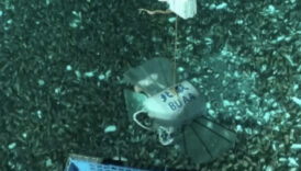 cinli bilim insanlari mariana cukurunda asiri basinc altinda calisabilen robot gelistirdi LTaxfelW