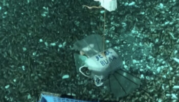 cinli bilim insanlari mariana cukurunda asiri basinc altinda calisabilen robot gelistirdi LTaxfelW