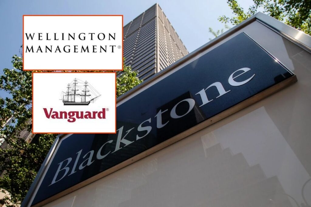 dunya devleri blackstone vanguard ve wellington yeni yatirimlar icin isbirligi yapti rcpvvgv5