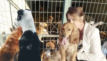 gazeteci birgul tasdemir beyin kanamasi sonrasi yasam mucadelesi veriyor can dostlari onu bekliyor dR54z1Ep